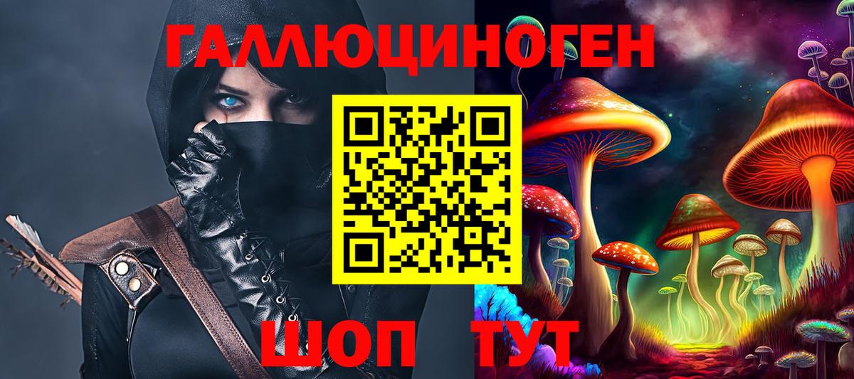 Псилоцибиновые грибы Psilocybe Михайловка