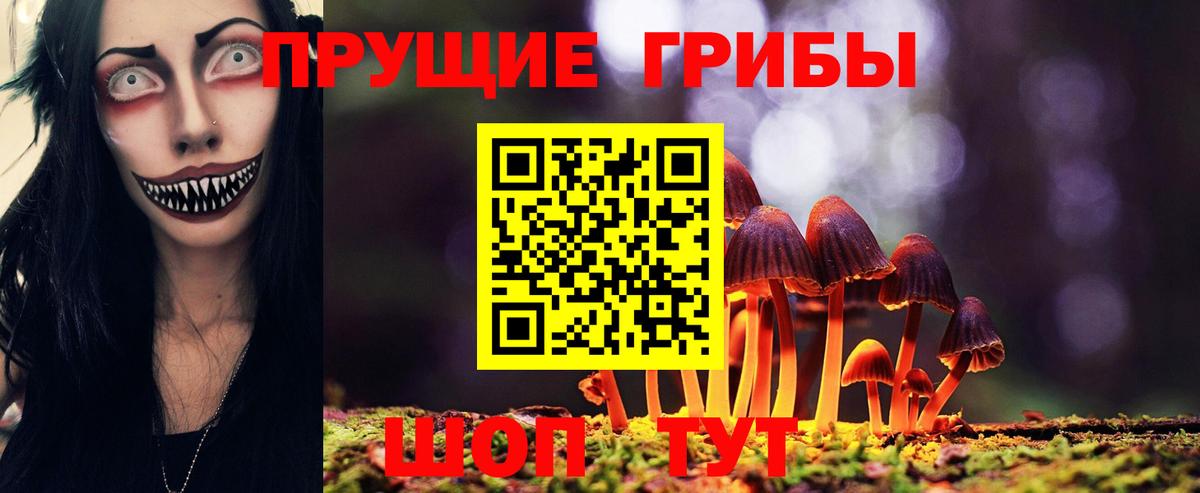 Михайловка  Псилоцибиновые грибы Cubensis  Вход с VPN 